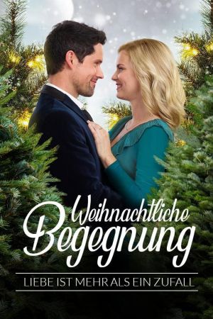 Weihnachtliche Begegnung - Liebe ist mehr als ein Zufall hdfilme stream online