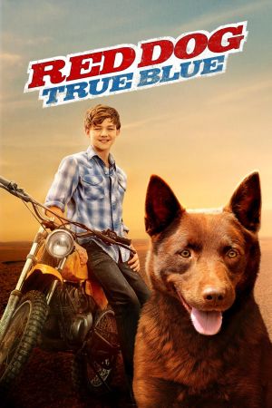 Red Dog – Mein treuer Freund hdfilme stream online