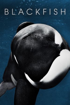 Blackfish hdfilme stream online
