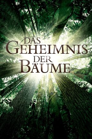 Das Geheimnis der Bäume