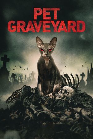 Friedhof am Ende der Welt hdfilme stream online