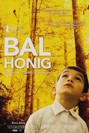 Bal - Honig