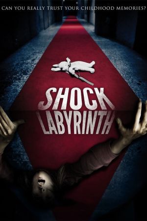 Schock Labyrinth 3D