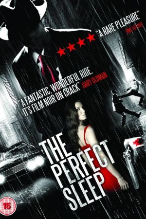 The Perfect Sleep hdfilme stream online