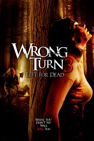 Wrong Turn 3: Left for Dead hdfilme stream online