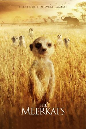Wächter der Wüste hdfilme stream online