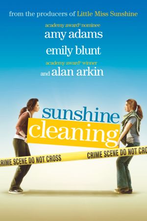 Sunshine Cleaning