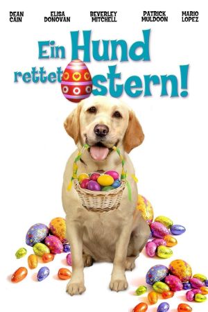 Ein Hund rettet Ostern