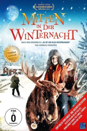 Mitten in der Winternacht hdfilme stream online