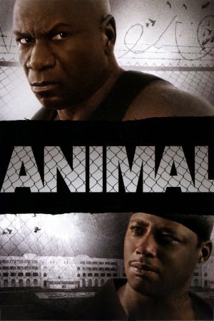 Animal - Gewalt hat einen Namen hdfilme stream online