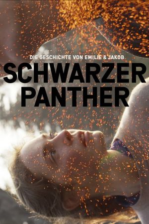Schwarzer Panther hdfilme stream online