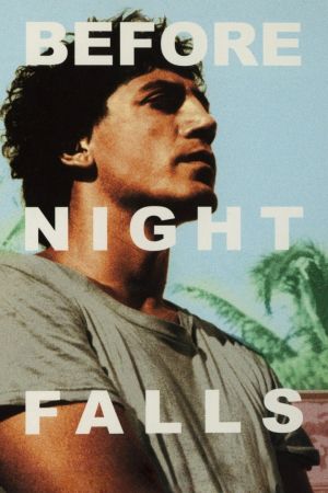 Bevor es Nacht wird hdfilme stream online