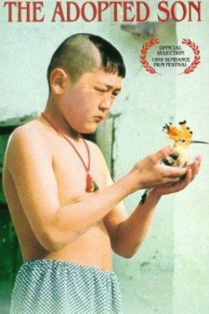 Der Fremde Sohn hdfilme stream online