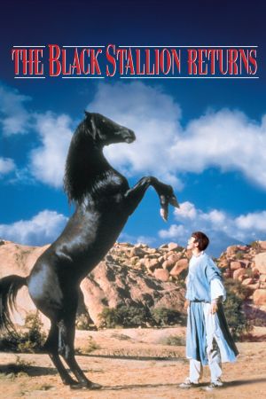 Der schwarze Hengst kehrt zurück hdfilme stream online