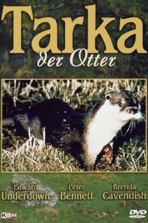 Tarka der Otter