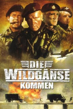 Die Wildgänse kommen