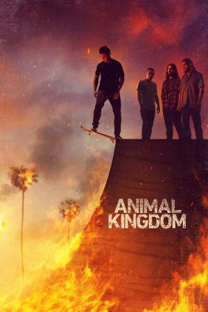 Animal Kingdom hdfilme stream online