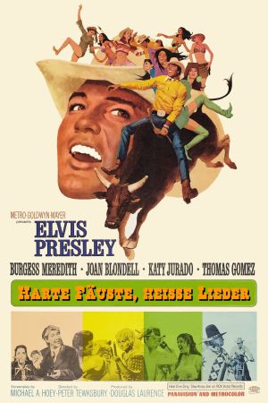 Harte Fäuste, heiße Lieder hdfilme stream online