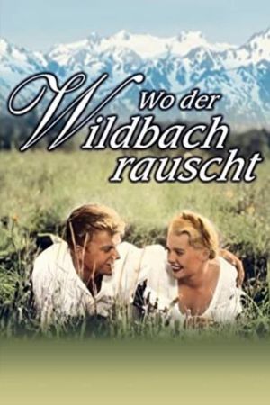 Wo der Wildbach rauscht