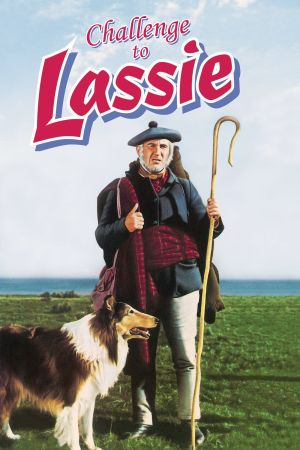 Lassie in Not hdfilme stream online