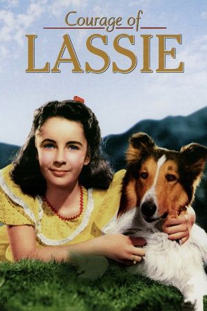 Lassie - Held auf vier Pfoten hdfilme stream online