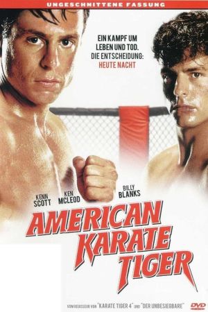 American Karate Tiger hdfilme stream online