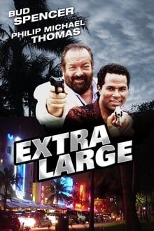 Zwei Supertypen in Miami hdfilme stream online