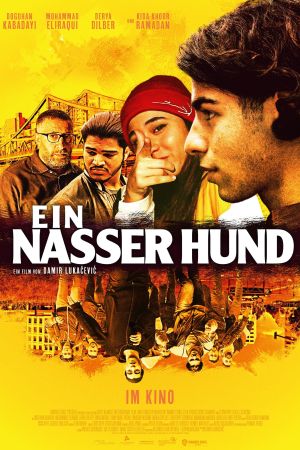 Ein nasser Hund